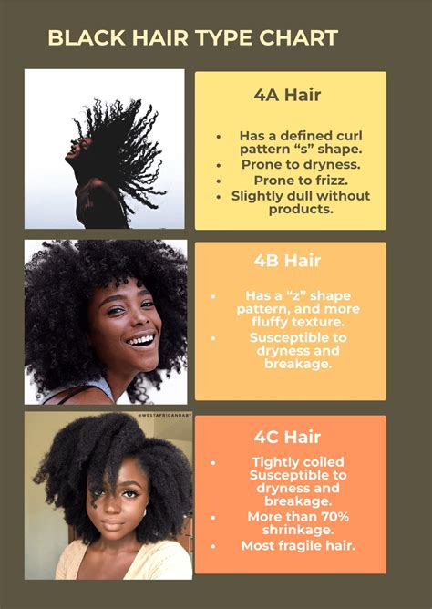 Black Hair Type Chart In Pdf Illustrator Download