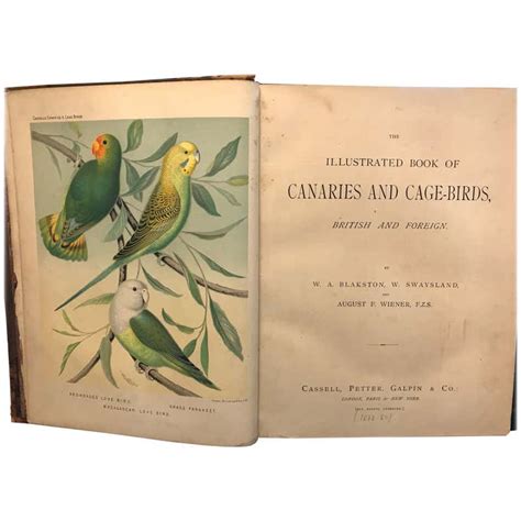 The Illustrated Book Of Canaries And Cage Birds Britsh And Foreign For
