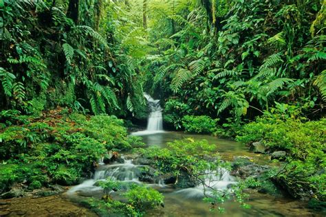 √ National Parks In Costa Rica