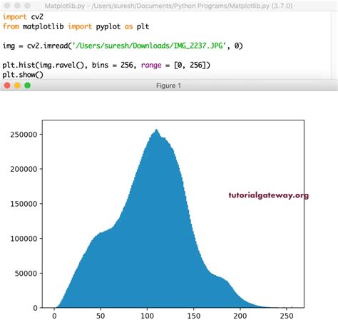 Matplotlib Histogram Code Dan Cara Membuatnya Dosenit Com Python