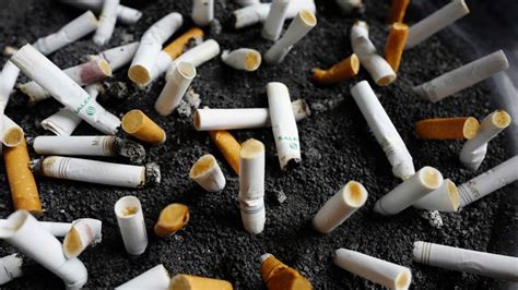 Menthol cigarettes ysl handbags muse. FDA To Target Addictive Levels Of Nicotine In Cigarettes ...