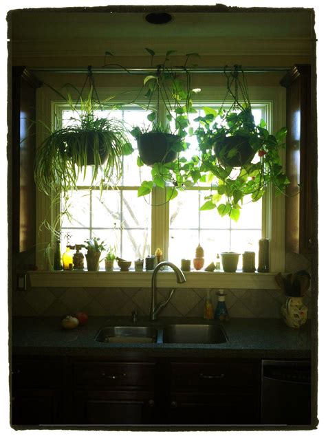 4.3 out of 5 stars. Hang plants in your kitchen window without putting any ...