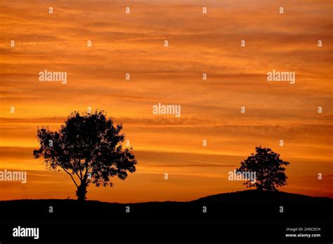 Tree Silhouette Against A Sunset Sky Stock Photo Alamy