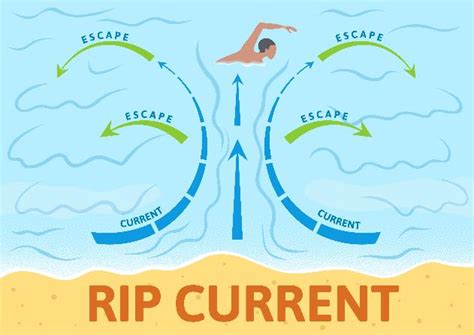 How To Identify Avoid And Escape A Rip Current