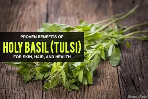 14 Proven Benefits Of Holy Basil Tulsi For Skin Hair And Health