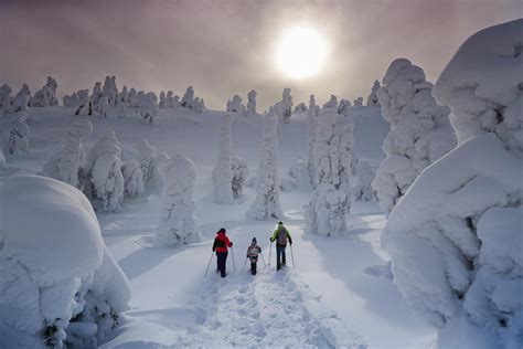 Lapland In Winter Most Wonderful Season Visit Finnish Lapland