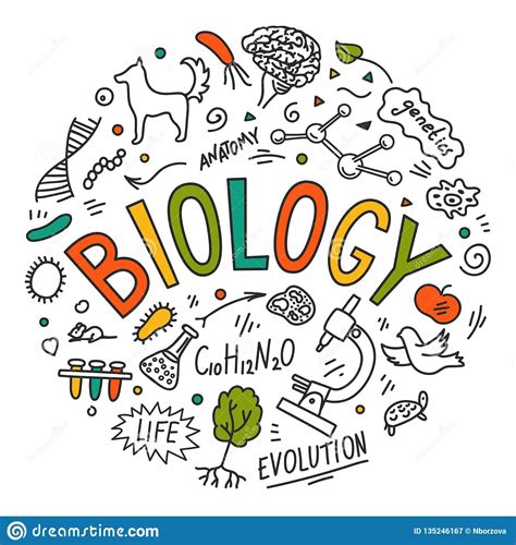 Find The Best Global Talent Biology Art Biology Doodle Lettering