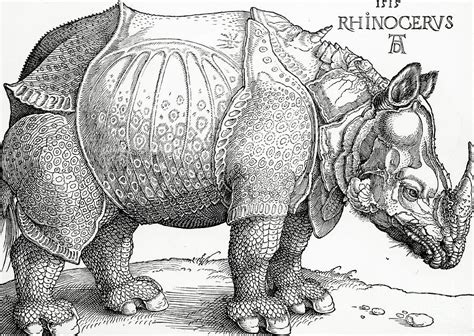 The Rhinoceros Painting By Albrecht Durer