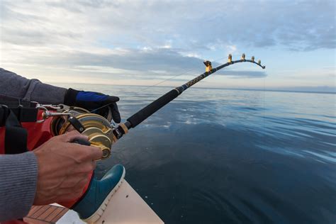 The Great Atlantic Fishing Adventure Nyc Helicopter Charters And