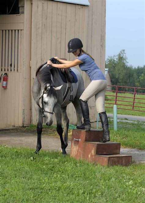 5 Easy Steps To Mount A Horse Safely