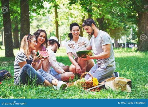 Group Of Friends Having Pic Nic In A Park On A Sunny Day People