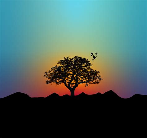Tree Sunset Silhouette Free Wallpaper Download Download Free Tree