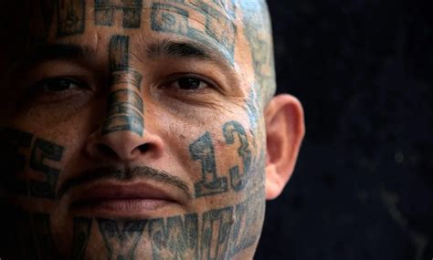 74 Percent Of Ms 13 Gang Members Prosecuted Since 2016 In Us Illegally