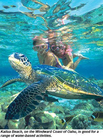 Swimming With Sea Turtles In Hawaii Oahu Vacation North Shore Oahu