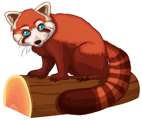 27 Red Panda Clipart Background Alade