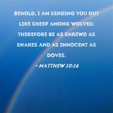 Matthew 1016 Behold I Am Sending You Out Like Sheep Among Wolves Therefore Be As Shrewd As
