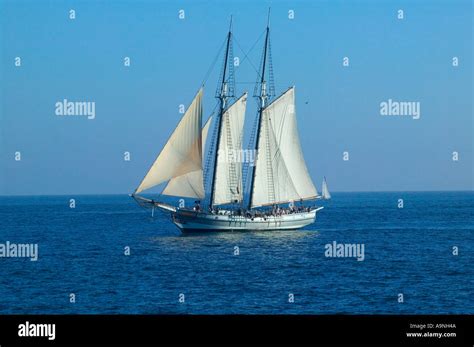 Sailboat The Spirit Of Dana Point At Sea In Dana Point Harbor Ca Stock