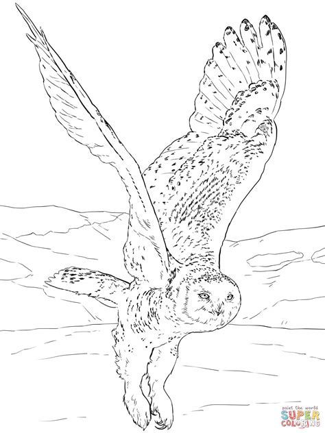 Flying Owl Coloring Pages Coloring Home