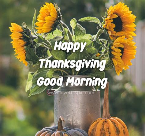 Sunflower Pail Happy Thanksgiving Good Morning Pictures Photos And