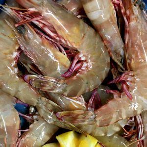 Prawns Mackay Fish Market