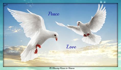 Doves From Heaven Духи животных руководство Обои с животными Белые
