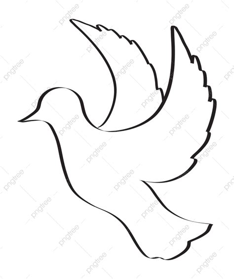 Gambar Gambar Sketsa Burung Merpati Terbang Bliblinew