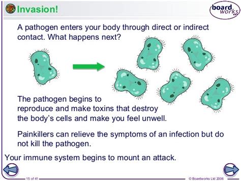 Infections And Immunity