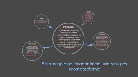 Fisioterapia Na Iu P S Prostatectomia By Amanda Alves