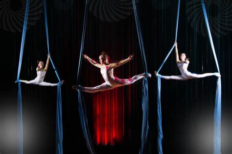 What Do Circus Acrobats Do In Circus AcroCollege