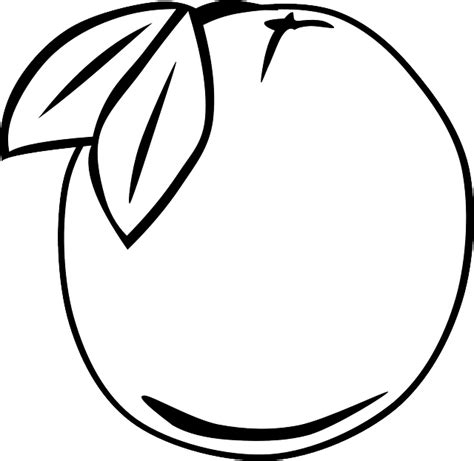 Fruits Names and Coloring Pages | Fruits coloring pages, Coloring pages, Fruits coloring
