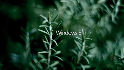 Screensavers And Wallpaper For Windows 8 64 Images