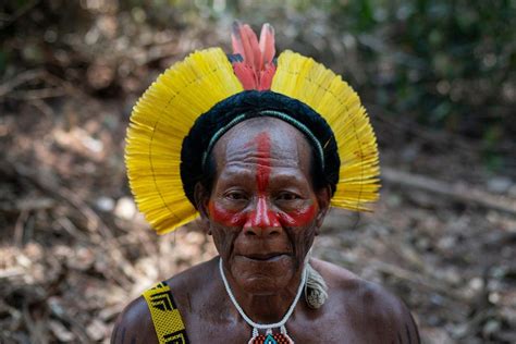 Warring Amazon Tribes Unite To Fight Brazil Presidents Plans To Devastate Rainforests For Cash