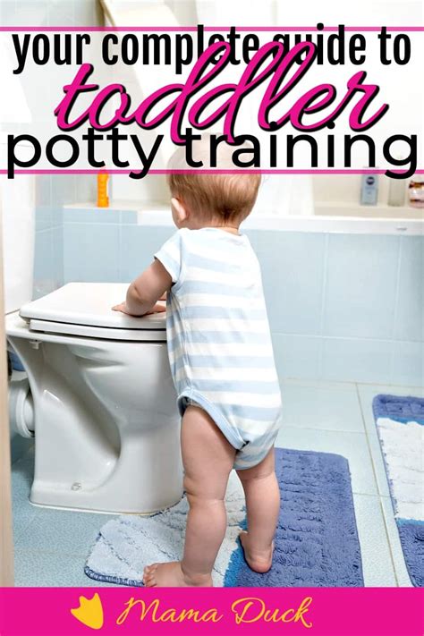 All The Toddler Potty Training Tips You Need To Potty Train By 2