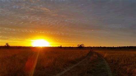 Australian Landscape Dirt Road Sunset Sunrise Stock Video Footage