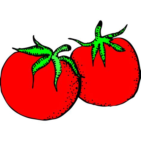 Рисунок томат 23 фото