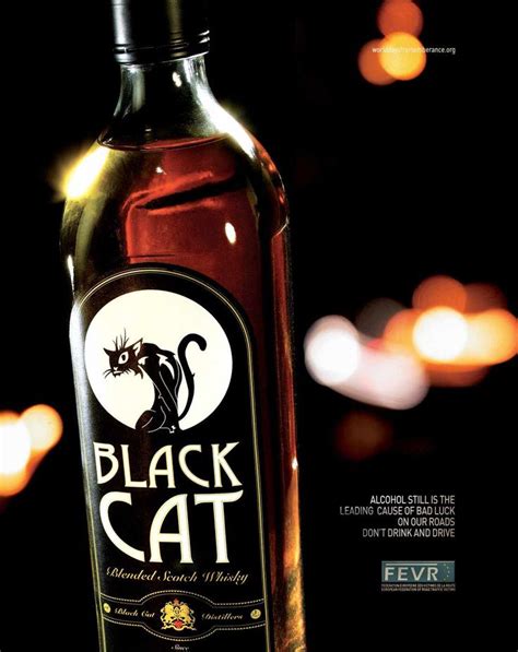 Black Cat Wine Price Enriqueta Keane
