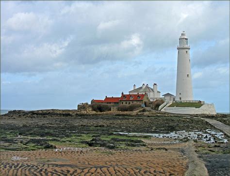 Newcastle Upon Tyne St Marys Lighthouse Foto And Bild Europe United