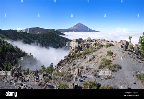 Landscape In The National Park Of Tenerife With Teide Stock Photo Alamy
