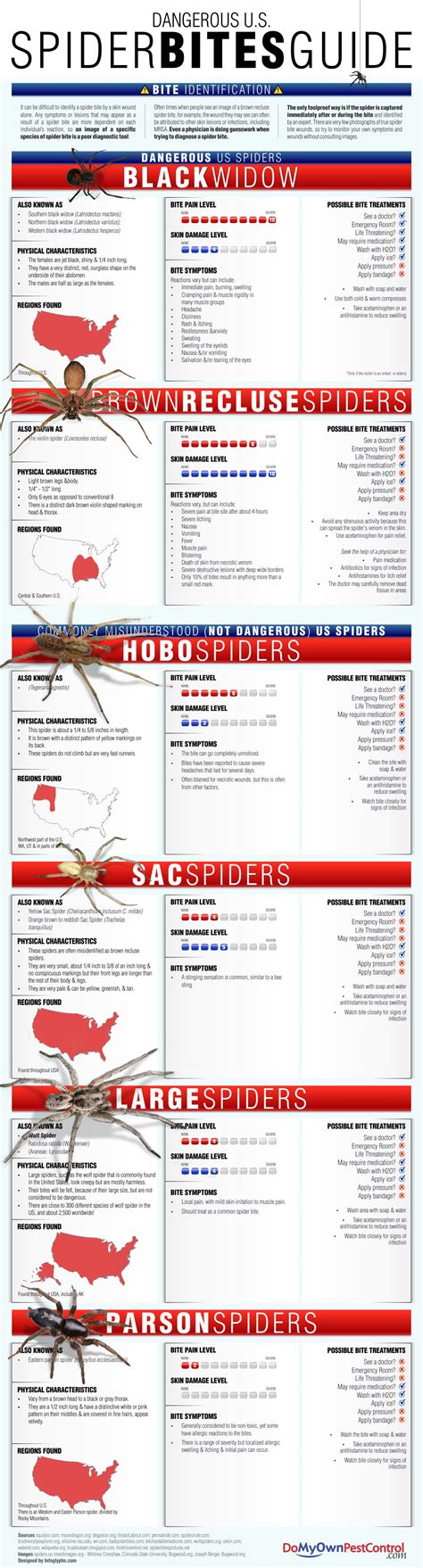 Identify Dangerous Spiders And Bite Symptoms With This Infographic