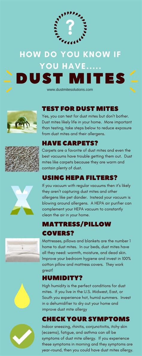 How Do You Know If You Have Dust Mites My Protection Strategies