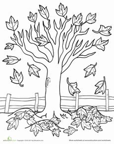 Maple Tree Coloring Page | Fall coloring pages, Fall coloring sheets