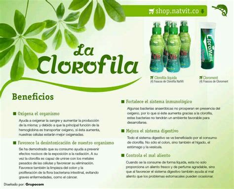 La Clorofila Health And Nutrition Healthy Advice Fruit Benefits
