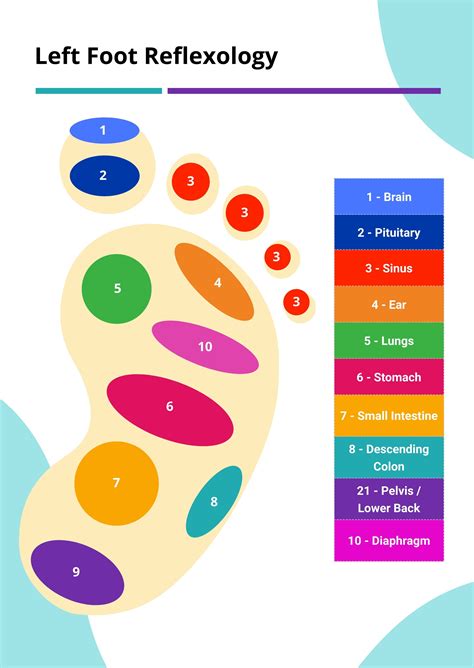 Foot Reflexology Chart In Illustrator Pdf Download