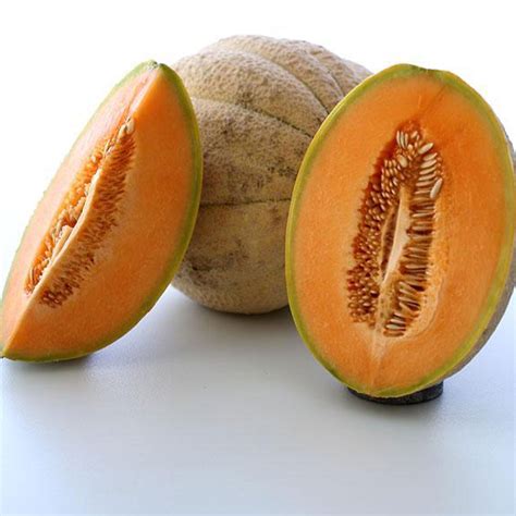Tuscany Melon Seed 1 G ~35 Seeds Heirloom Open Pollinated Non Gmo
