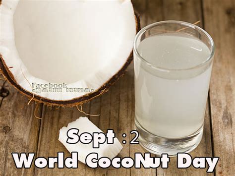 Every year, the international coconut community sets a theme for world coconut day. lovely quotes
