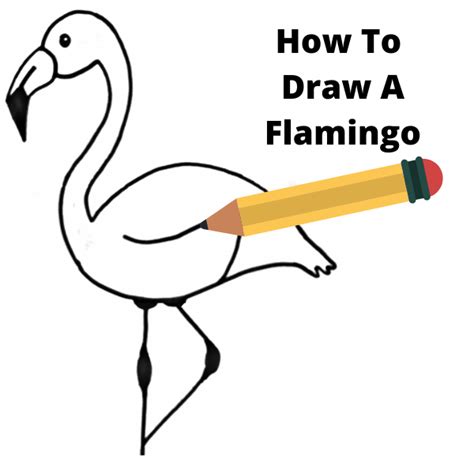 Flamingo Drawing Easy Step By Step At Drawing Tutorials