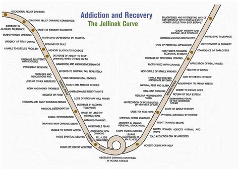 Understanding The Jellinek Curve Amethyst Recovery Center Substance