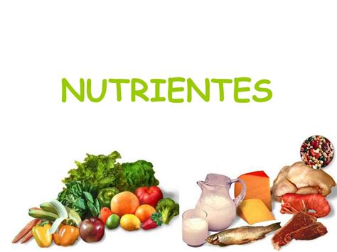 Ppt Nutrientes Powerpoint Presentation Free Download Id6074638