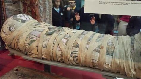 Cleopatra Mummy Picture Of British Museum London Tripadvisor