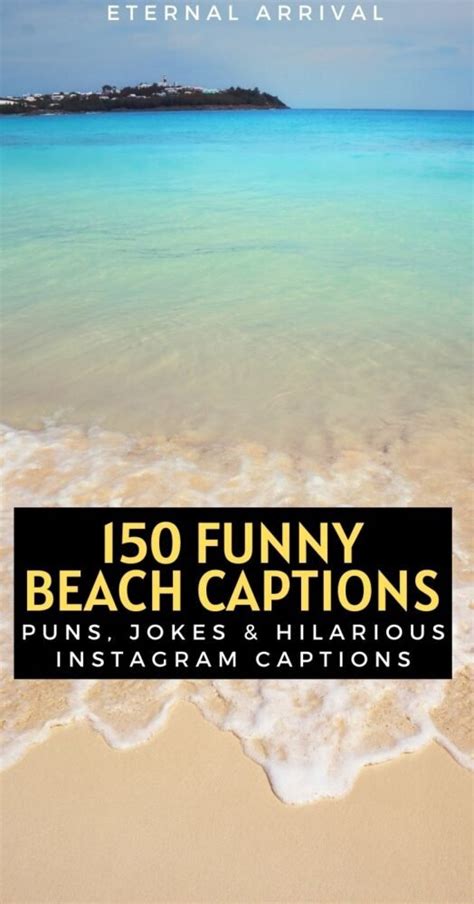 150 Shell Arious Beach Puns For Summery Instagram Captions Eternal
